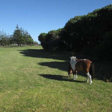 Monday Seaside Cottage Whanganui Exteriér fotografie