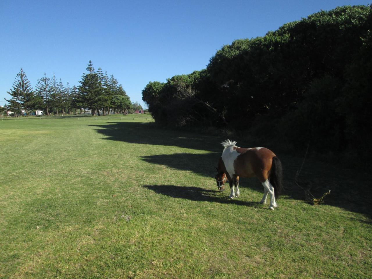 Monday Seaside Cottage Whanganui Exteriér fotografie